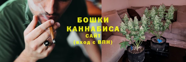 шишки Михайловск