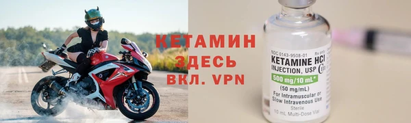 шишки Михайловск