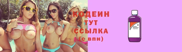 шишки Михайловск
