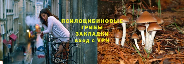 спиды Михайлов