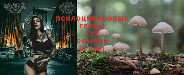 шишки Михайловск