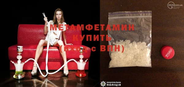 шишки Михайловск