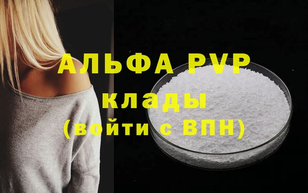 спиды Михайлов
