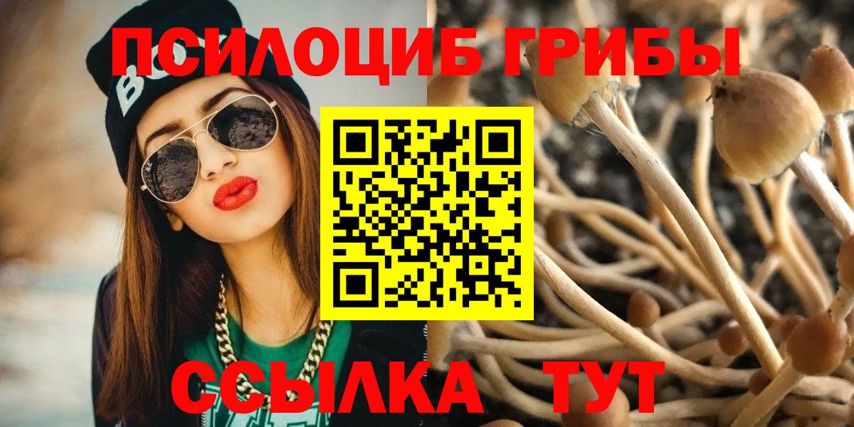 Краснотурьинск  Галлюциногенные грибы Psilocybe  Вход с VPN 